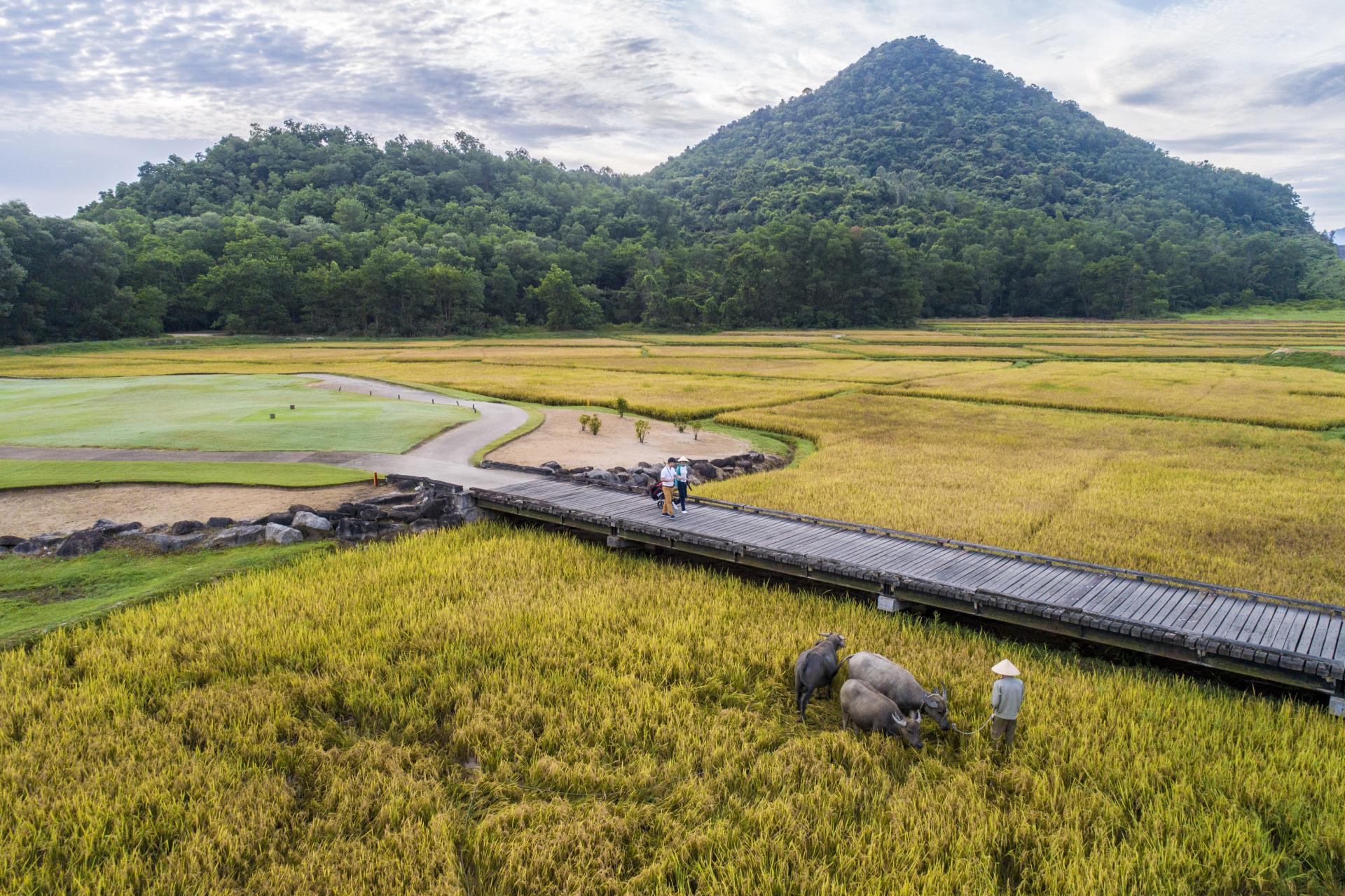 Laguna Golf Lăng Cô(1)
